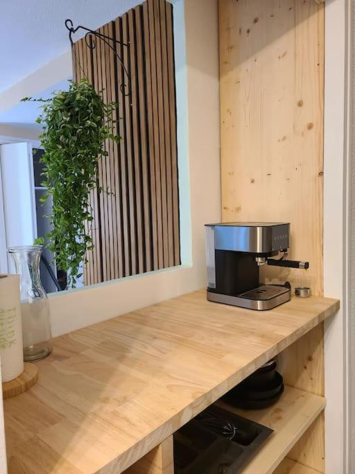 Joli Studio Renove Situe Au Pied Des Thermes Amélie-les-Bains-Palalda Exterior foto