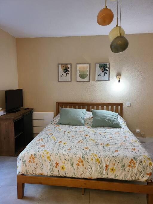 Joli Studio Renove Situe Au Pied Des Thermes Amélie-les-Bains-Palalda Exterior foto